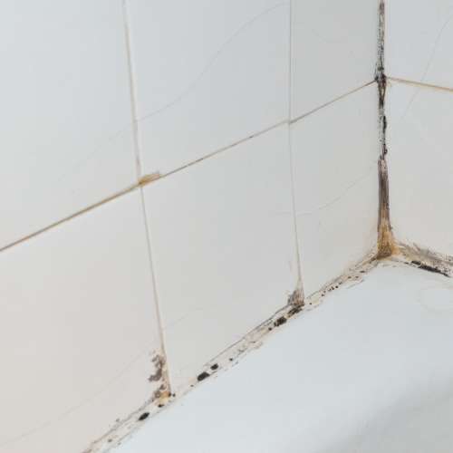 Schimmel im Badezimmer? Wer zahlt für die Entfernung?